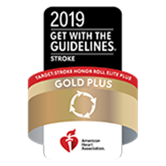 Gold Plus: Stroke, American Heart Association